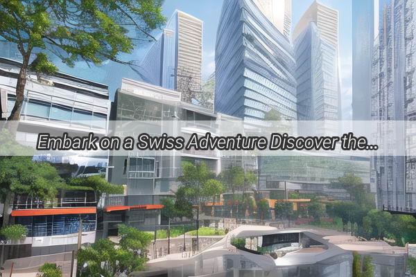 Embark on a Swiss Adventure Discover the Ultimate Guide to Swiss Visa Applications in Guangzhou